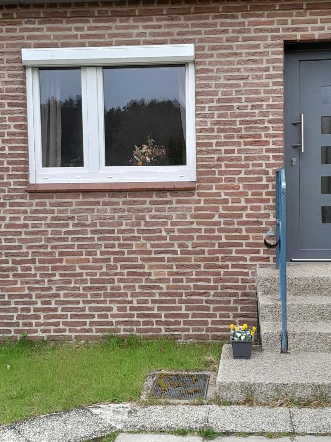 Ferienwohnung Tannenquartier - Ihr Ferienhaeuschen Groß Grönau Exterior foto