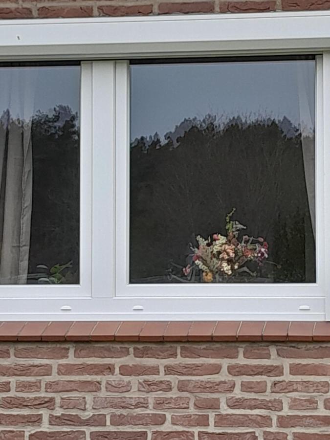 Ferienwohnung Tannenquartier - Ihr Ferienhaeuschen Groß Grönau Exterior foto